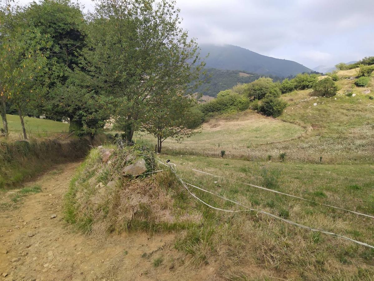 Fotos: Un viaje al pasado por la ruta del Dolmen de Merillés
