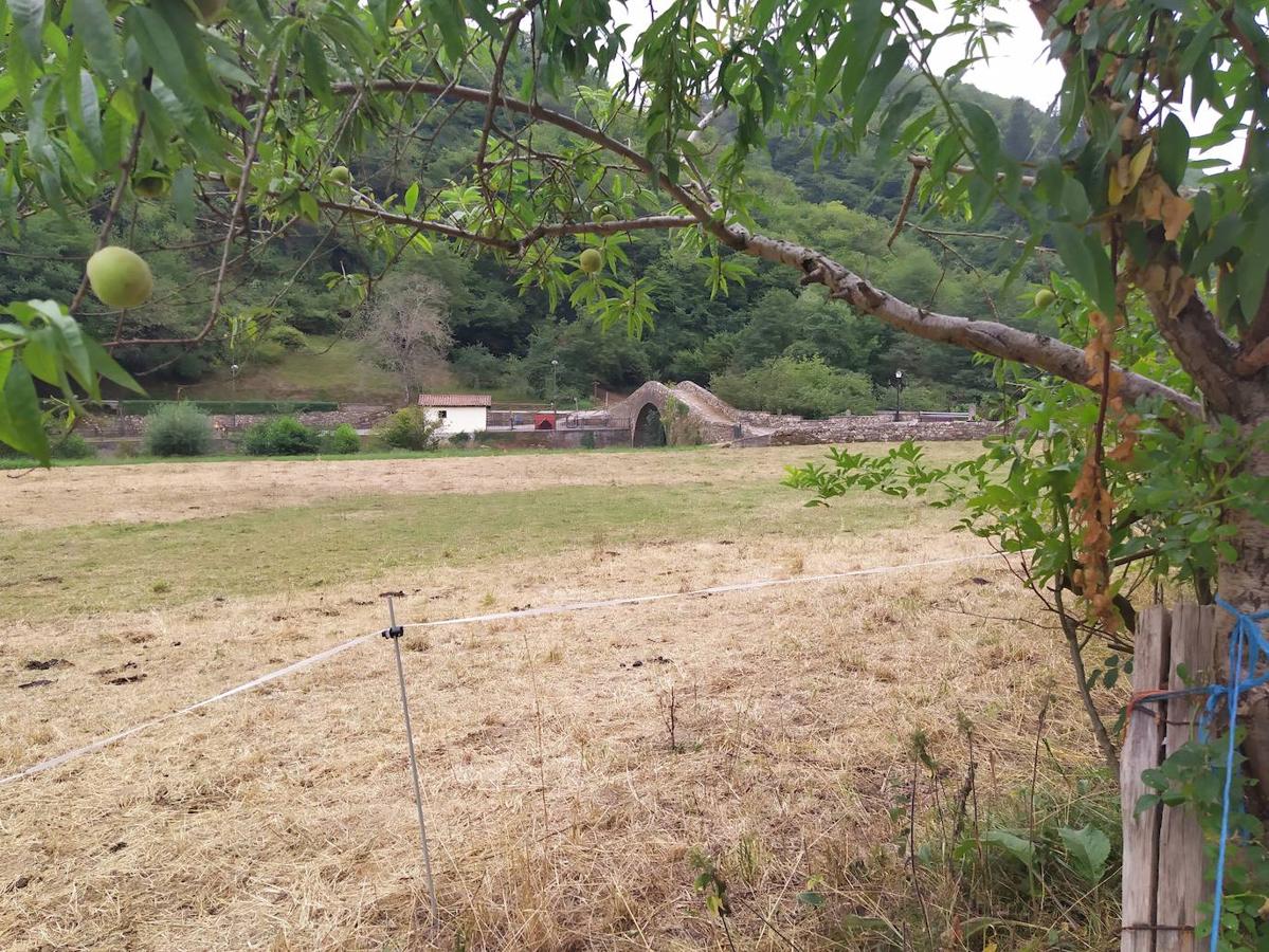 Fotos: Un viaje al pasado por la ruta del Dolmen de Merillés