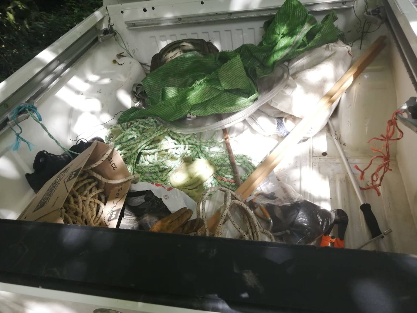 El animal salió de improviso a la calzada, por lo que el conductor que lo atropelló no pudo evitar el accidente.