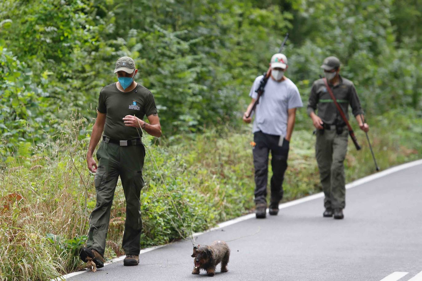 La búsqueda del plantígrado resulta compleja debido a las dificultades de acceso en una zona de monte bajo