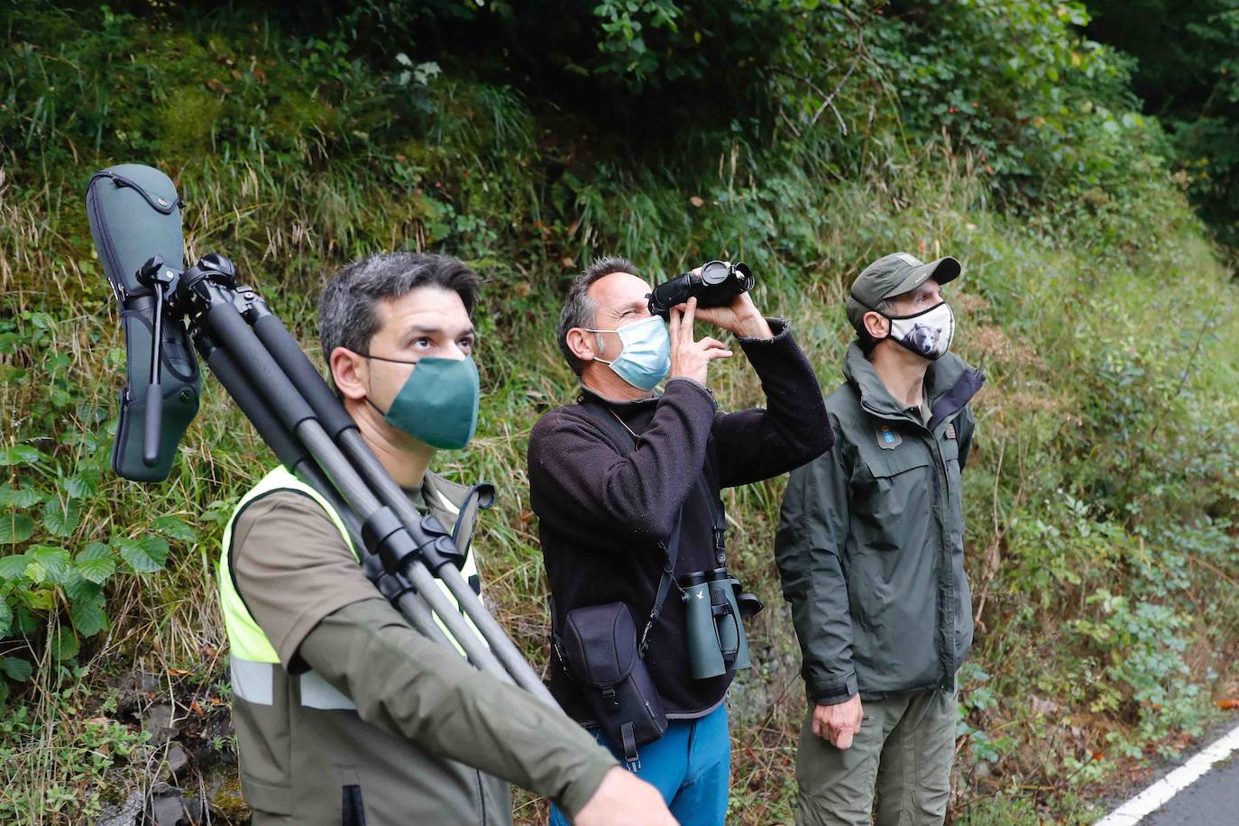 La búsqueda del plantígrado resulta compleja debido a las dificultades de acceso en una zona de monte bajo