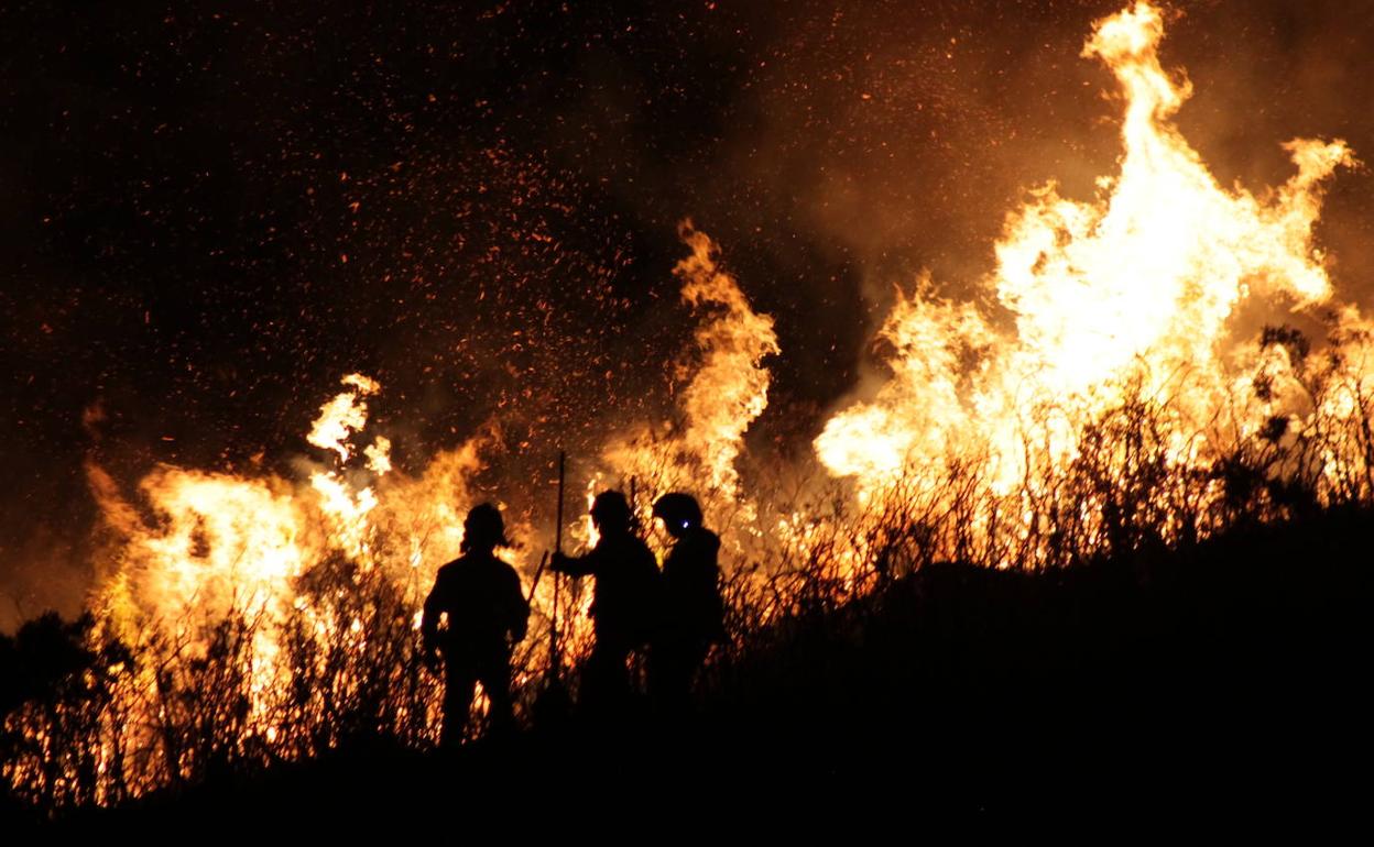 Fuego declarado en Parres durante la última oleada de 2019.