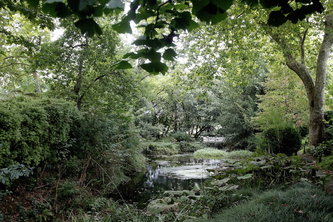 El Jardín Botánico Atlántico de Gijón es un espacio vivo, que ocupa 25 hectáreas de terreno perfectamente diseñadas y se convierte en un gran expositor, un microcosmos verde y florido en el que crecen multitud plantas y árboles