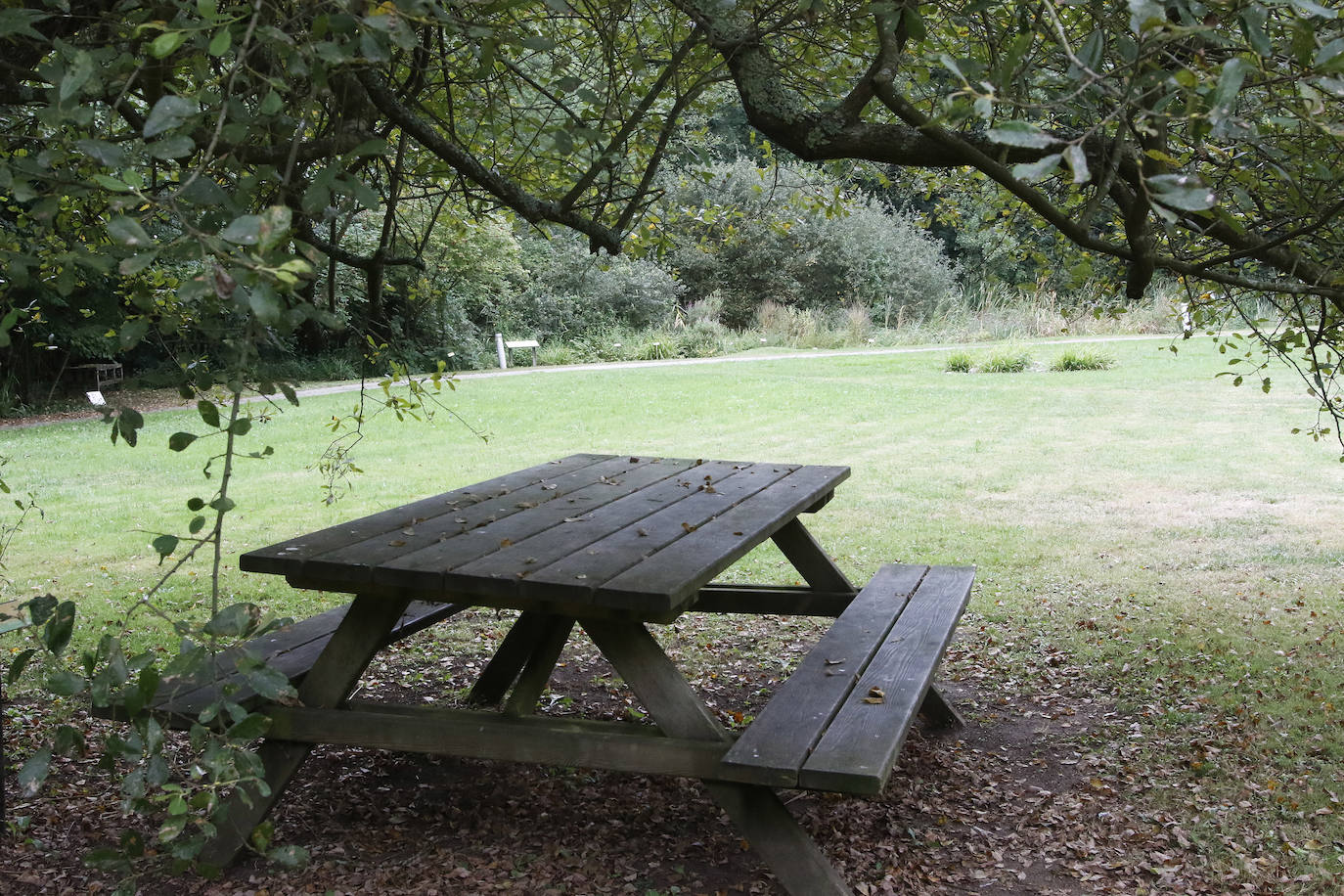 El Jardín Botánico Atlántico de Gijón es un espacio vivo, que ocupa 25 hectáreas de terreno perfectamente diseñadas y se convierte en un gran expositor, un microcosmos verde y florido en el que crecen multitud plantas y árboles
