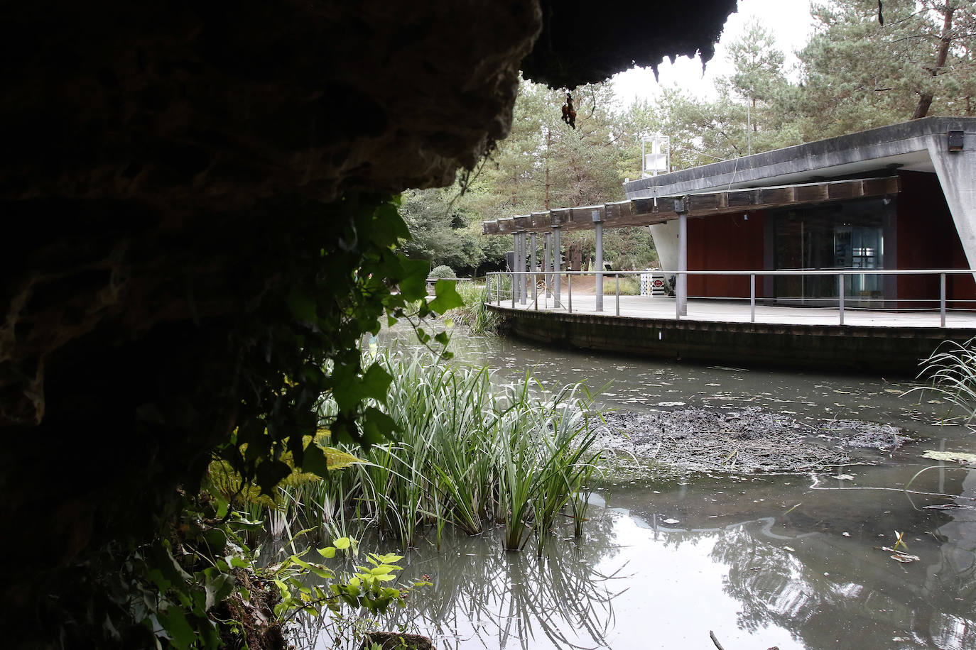 El Jardín Botánico Atlántico de Gijón es un espacio vivo, que ocupa 25 hectáreas de terreno perfectamente diseñadas y se convierte en un gran expositor, un microcosmos verde y florido en el que crecen multitud plantas y árboles
