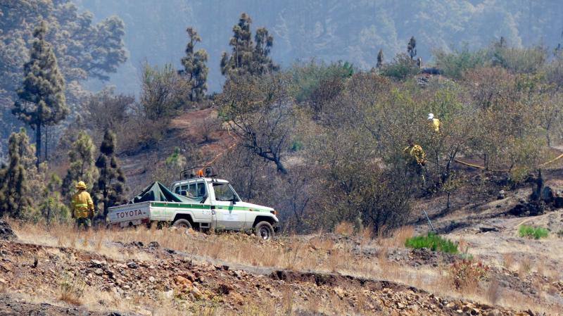 El incendio que desde el viernes afecta a la isla canaria se encuentra en fase de consolidación del perímetro, que abarca unas 1.200 hectáreas, tras una noche dura con condiciones meteorológicas adversas. Las brigadas se enfrentan este domingo a horas críticas para evitar que se reactiven los puntos calientes.