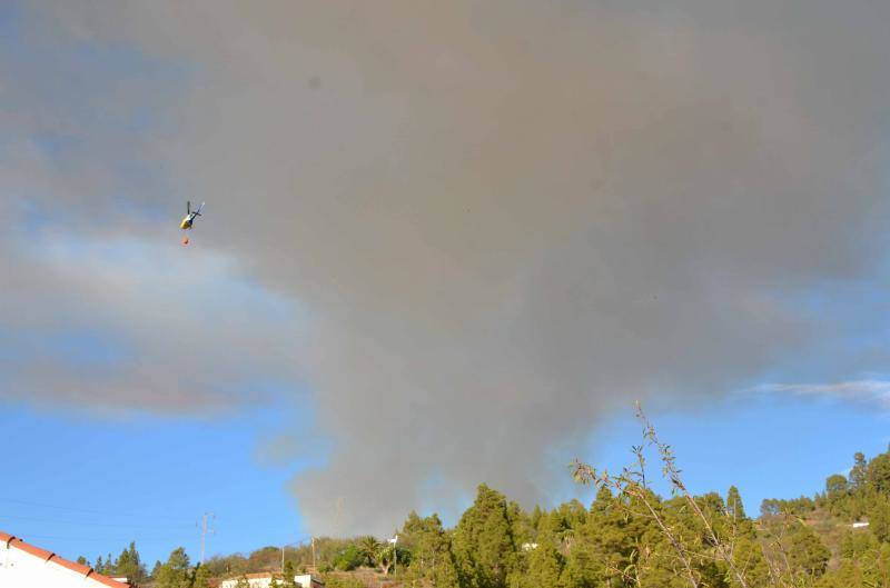 El incendio que desde el viernes afecta a la isla canaria se encuentra en fase de consolidación del perímetro, que abarca unas 1.200 hectáreas, tras una noche dura con condiciones meteorológicas adversas. Las brigadas se enfrentan este domingo a horas críticas para evitar que se reactiven los puntos calientes.