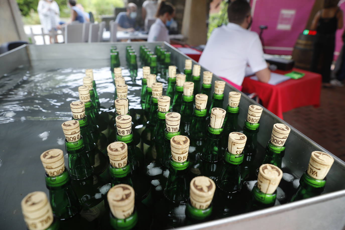 El Jardín Botánico Atlántico acogió este jueves el XXVII Campeonato Oficlal de Escanciadores, encuadrado dentro de la Fiesta de la Sidra Natural de Gijón. El certamen resultó atípico ante las restricciones impuestas y la falta de público. 