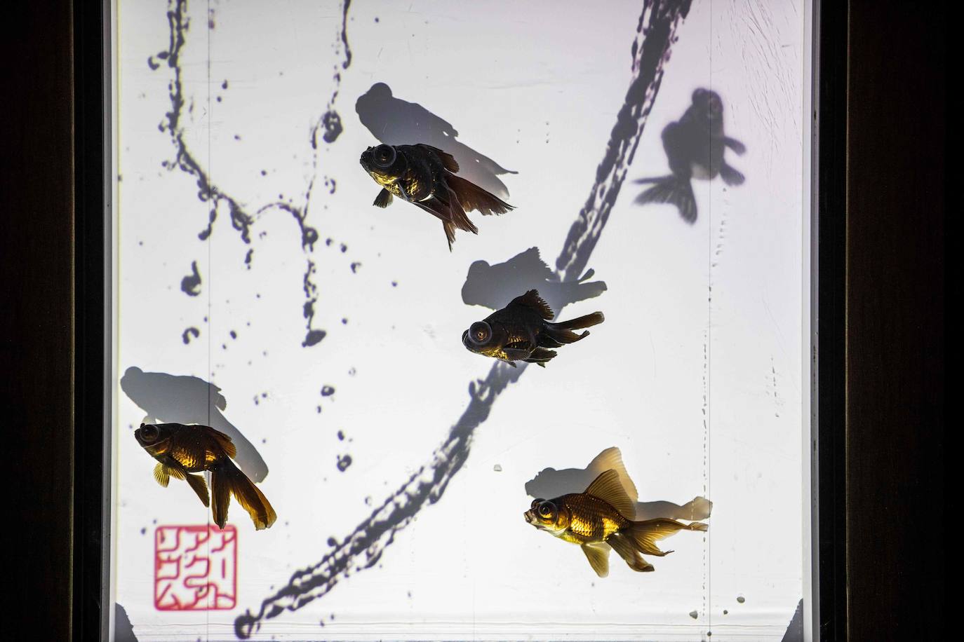 'Reflecterium' es una exposición que tiene lugar una vez al año y es una de las más populares durante el verano de la capital nipona y se ha ganado el cariño de sus habitantes debido a esa mezcla de cultura tradicional con juegos de luces y hasta aromas.