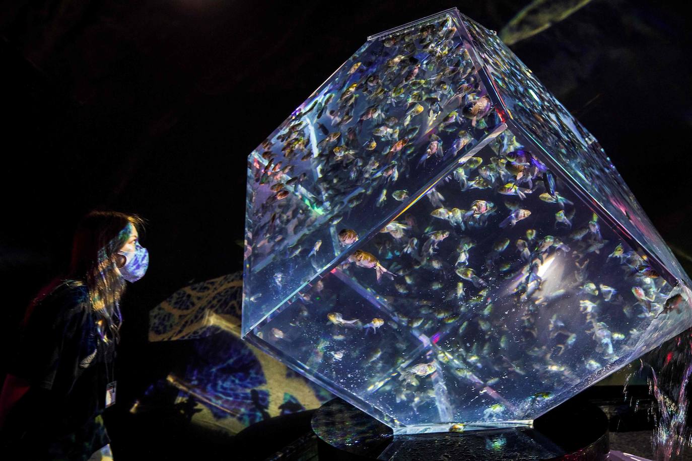 'Reflecterium' es una exposición que tiene lugar una vez al año y es una de las más populares durante el verano de la capital nipona y se ha ganado el cariño de sus habitantes debido a esa mezcla de cultura tradicional con juegos de luces y hasta aromas.