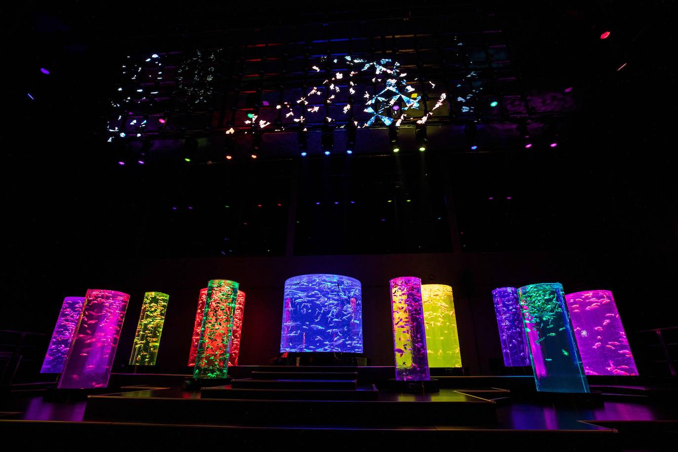 'Reflecterium' es una exposición que tiene lugar una vez al año y es una de las más populares durante el verano de la capital nipona y se ha ganado el cariño de sus habitantes debido a esa mezcla de cultura tradicional con juegos de luces y hasta aromas.