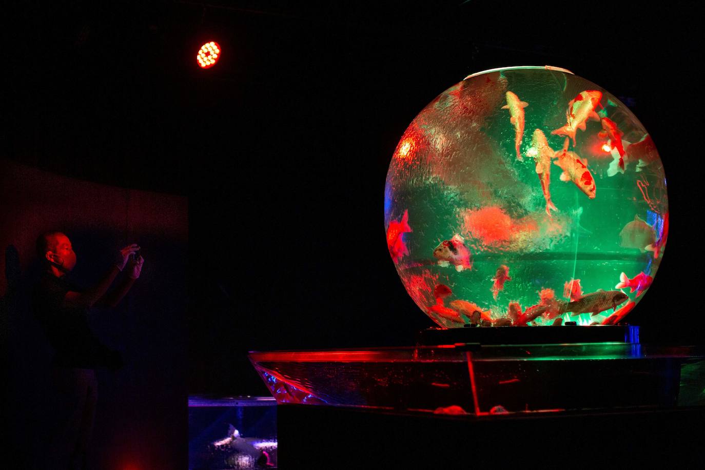 'Reflecterium' es una exposición que tiene lugar una vez al año y es una de las más populares durante el verano de la capital nipona y se ha ganado el cariño de sus habitantes debido a esa mezcla de cultura tradicional con juegos de luces y hasta aromas.