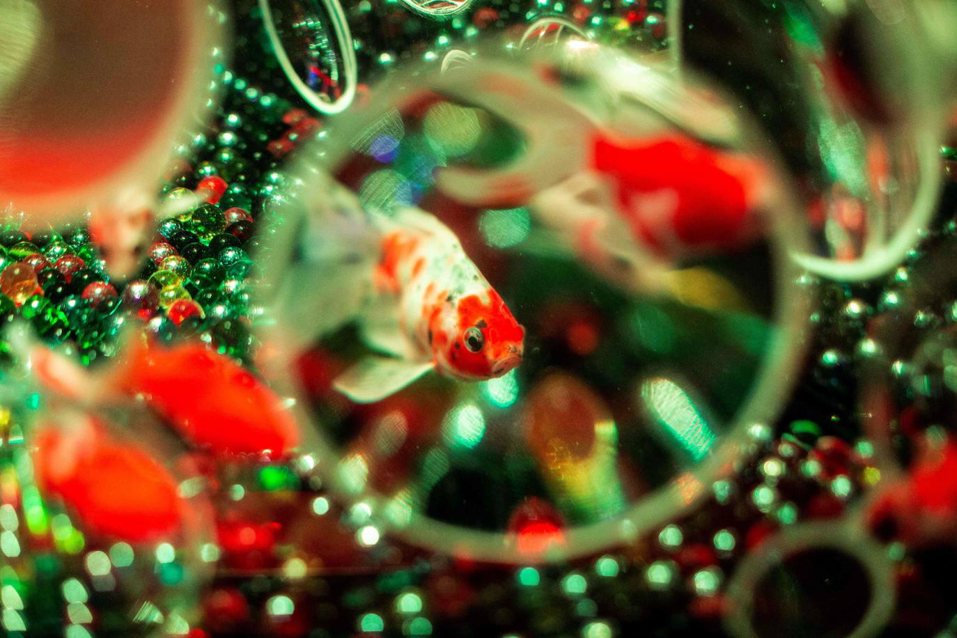 'Reflecterium' es una exposición que tiene lugar una vez al año y es una de las más populares durante el verano de la capital nipona y se ha ganado el cariño de sus habitantes debido a esa mezcla de cultura tradicional con juegos de luces y hasta aromas.