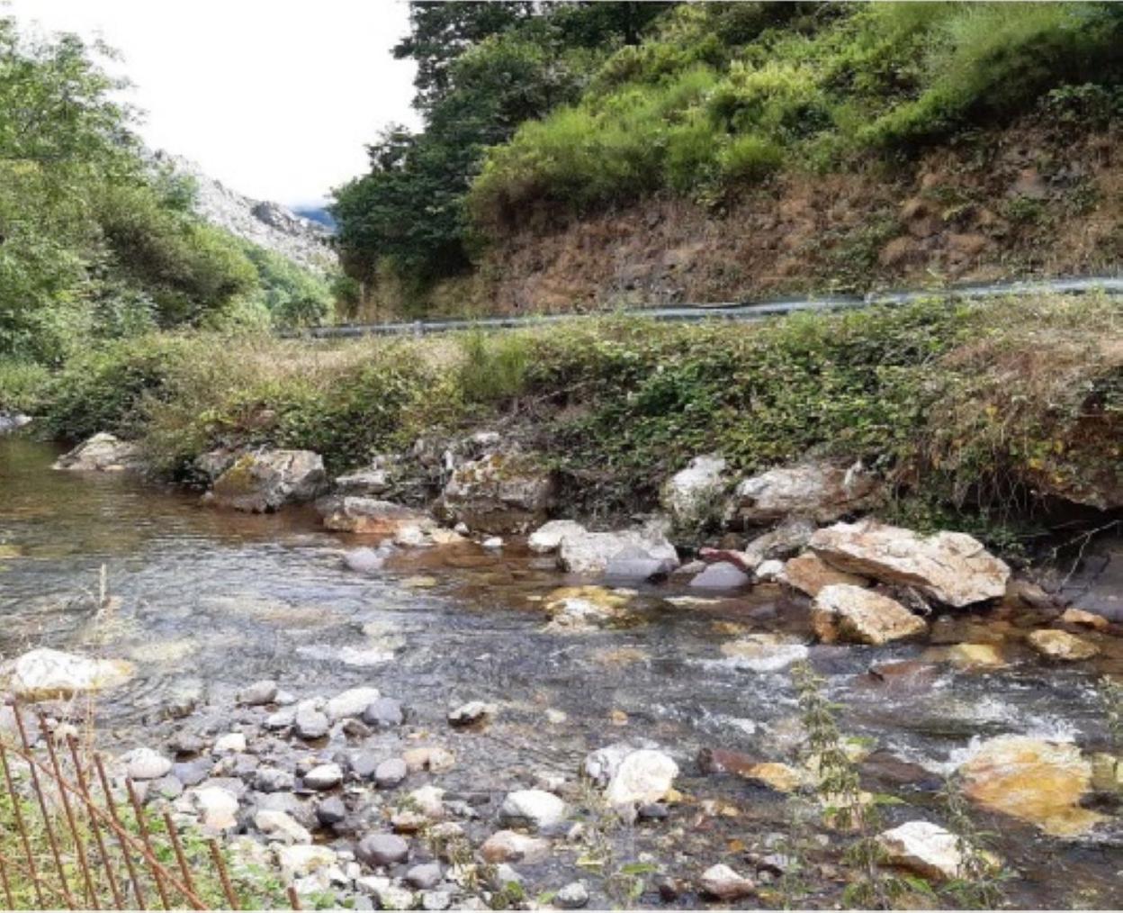 Zona del río Pigüeña donde se intervendrá. 