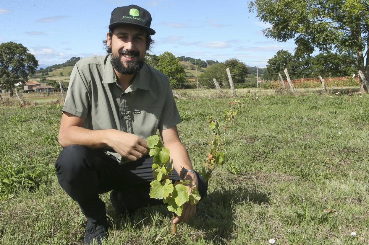 Borja Alcázar muestra parte de su viñedo, que actualmente cuenta con ochocientas cepas creciendo a buen ritmo. 