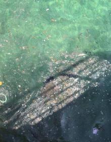 Imagen secundaria 2 - Una mancha de gasóleo obliga a cerrar al baño la playa entre San Pedro y la escalera 9