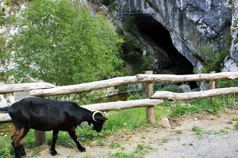 En la localidad casina de Les Llanes, a 544 metros de altitud, se ubica la cueva Deboyo, “una galería kárstica de unos 200 metros de longitud por la que discurre el río Nalón, constituyendo una formación geológica de notable singularidad”. En esta cavidad, declarada Monumento Natural en 2003, se han identificado hasta cinco especies de murciélagos y, de hecho, constituye “el refugio de quirópteros cavernícolas más importante del Parque Natural de Redes”.