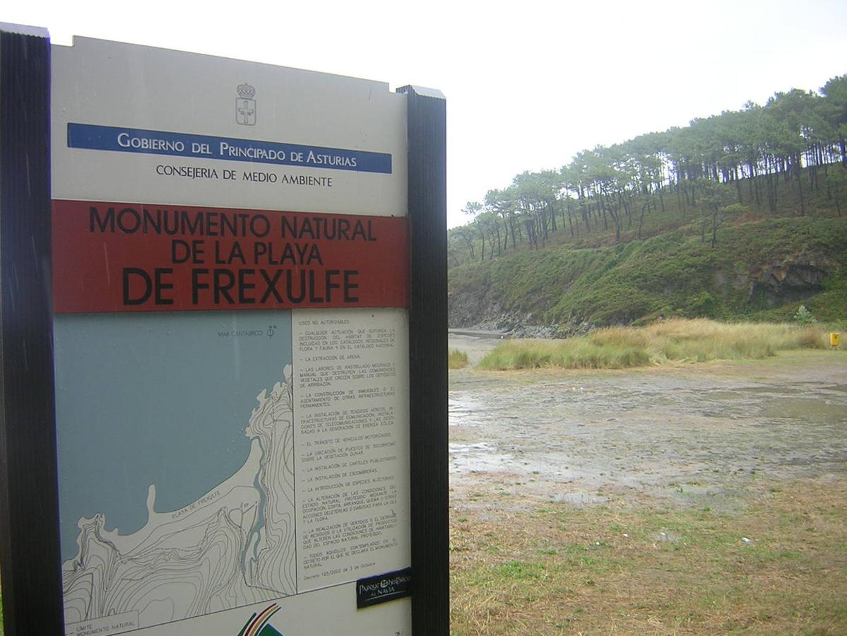 En el concejo de Navia se encuentra la playa de Frexulfe, Monumento Natural desde 2002, que destaca por su sistema dunar y la riqueza de su flora y su fauna. Destino veraniego muy frecuentado por vecinos y visitantes del occidente de Asturias, “se trata de una playa abierta, de escaso abrigo y orientada al norte, lo que la hace peligrosa para el baño”, recalca la Administración. 