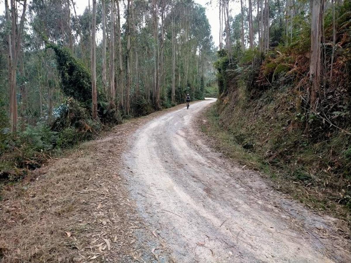 Fotos: Ruta por la Minona hasta el Picu Santufirme