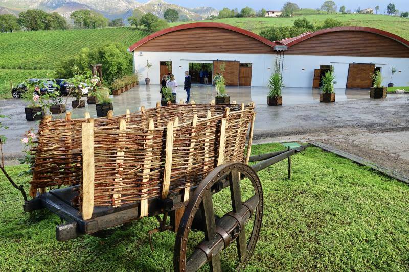 El Grupo Nature planea producir cerca de 18.000 litros de vino parragués en Huexes y en 2021 ampliará su oferta con visitas guiadas a los viñedos y catas.