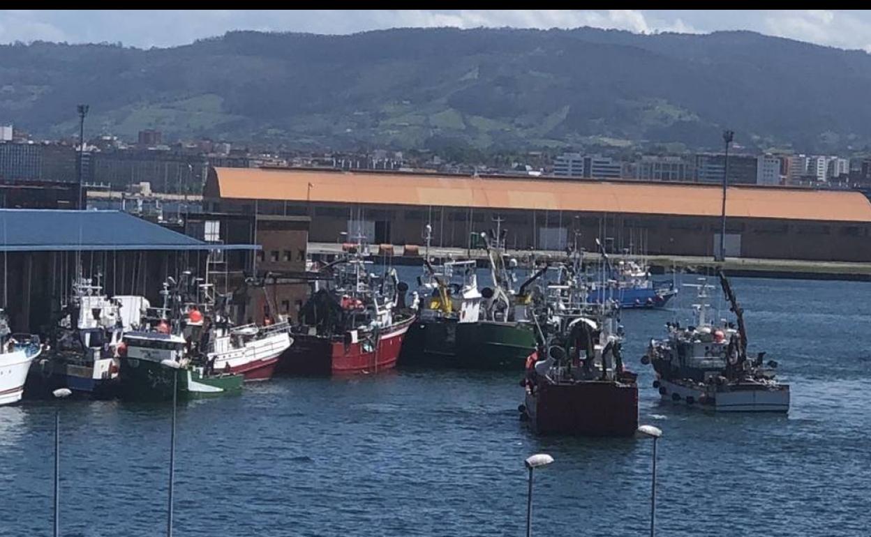 Entrada de barcos pesqueros de bocarte en El Musel