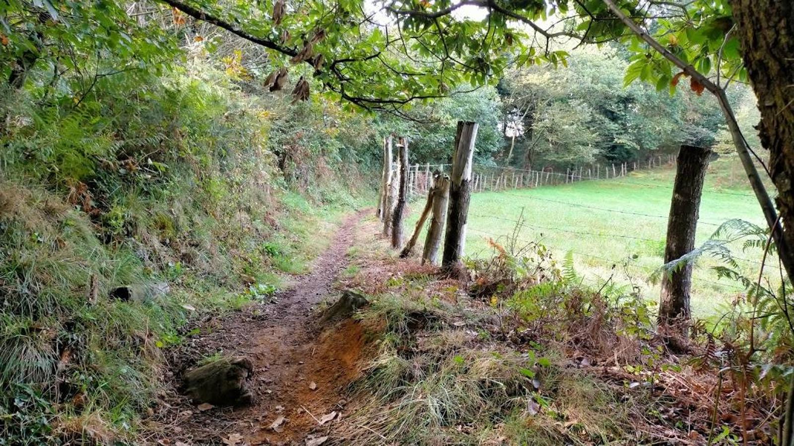 Fotos: Un paseo otoñal hasta el Picu Castiello