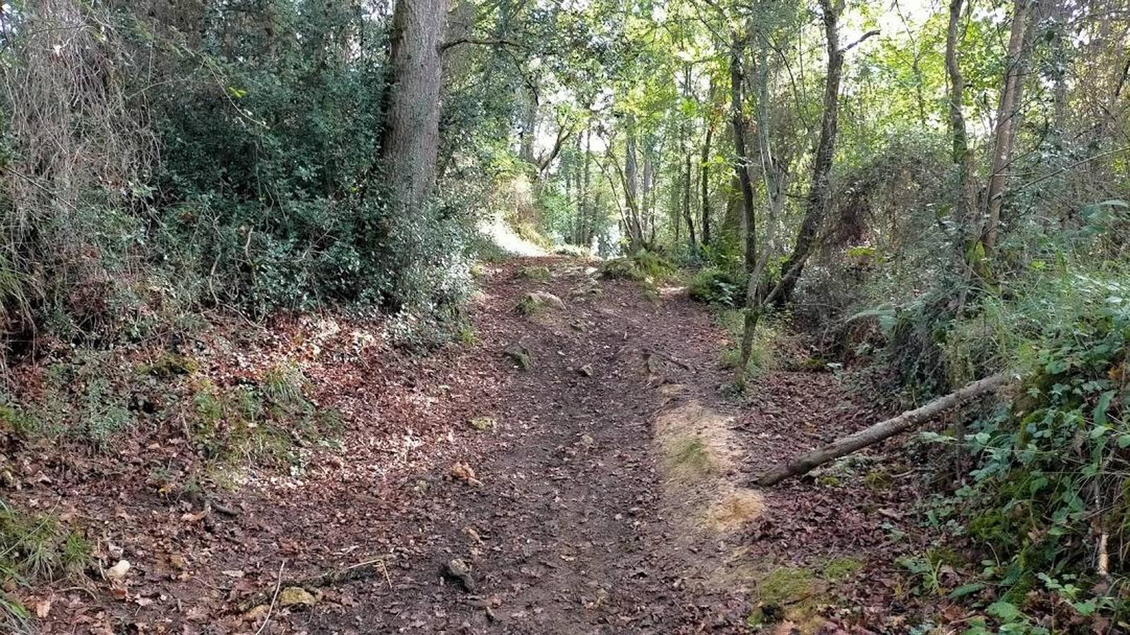 Fotos: Un paseo otoñal hasta el Picu Castiello