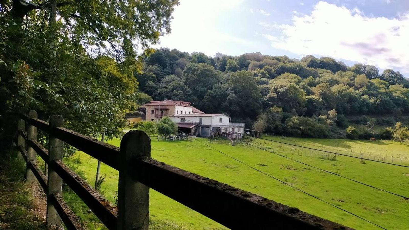 Fotos: Un paseo otoñal hasta el Picu Castiello