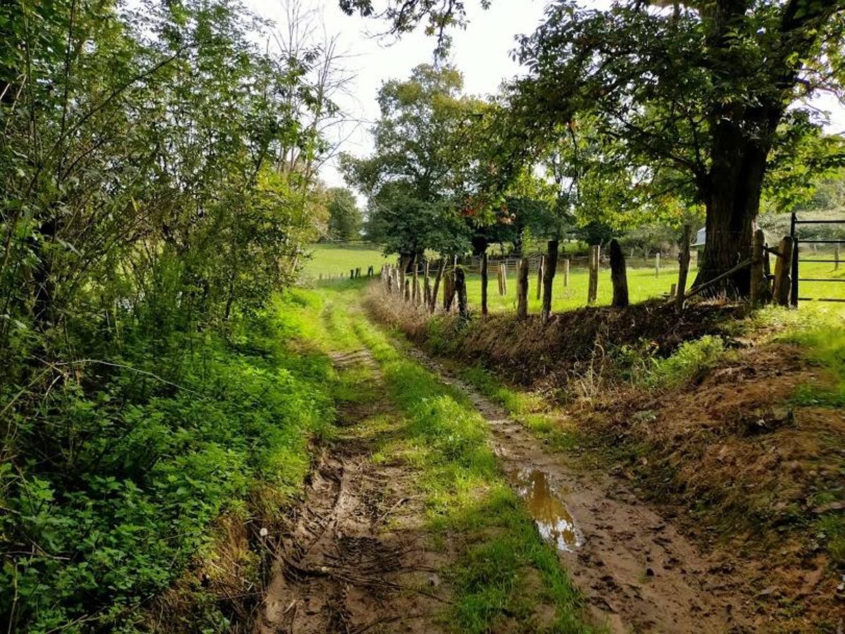 Fotos: Un paseo otoñal hasta el Picu Castiello