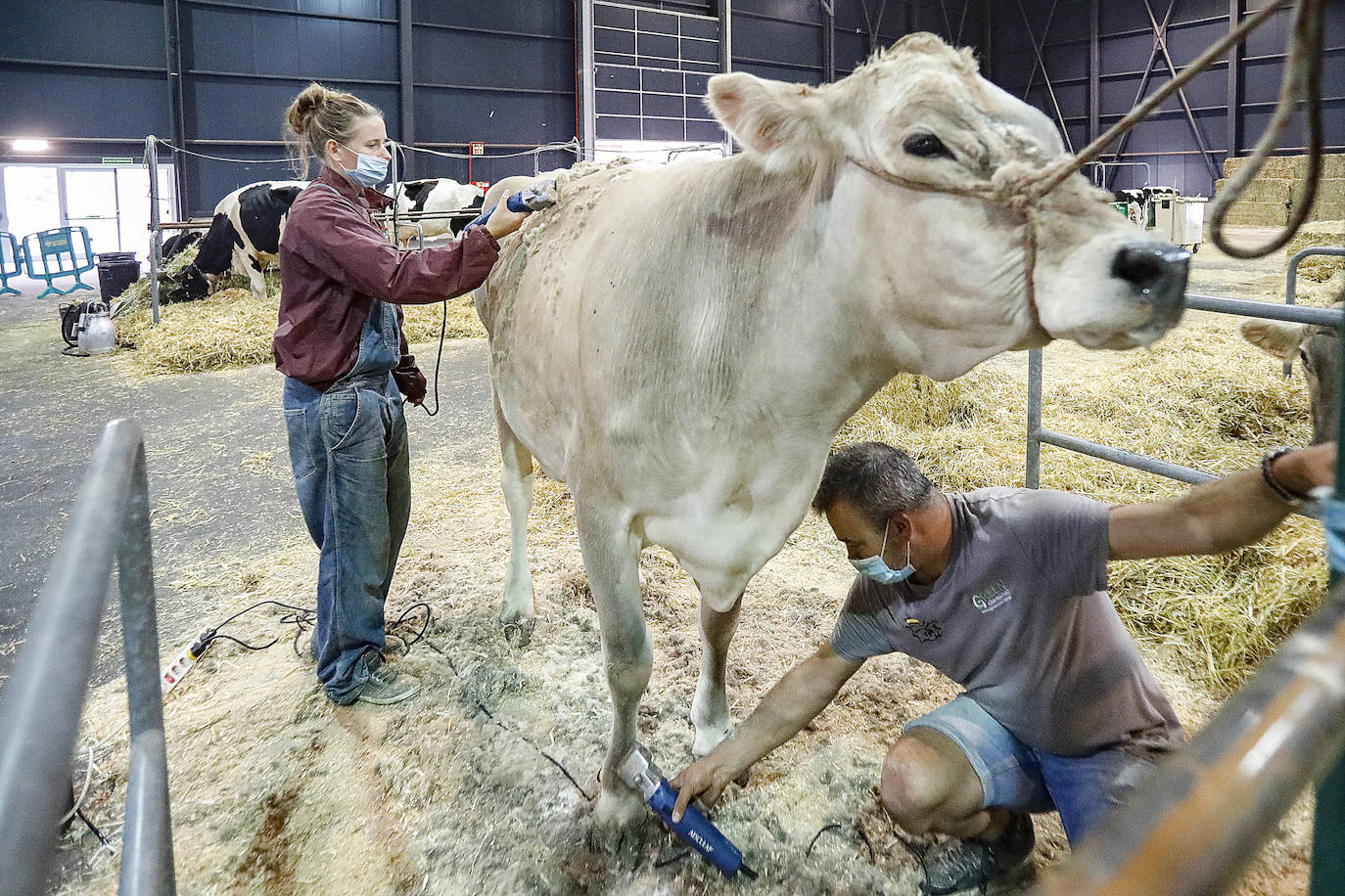 En esta 34 edición se cuenta con un novedoso sistema de control epidemiológico que posibilita el conocimiento y control de los visitantes y de su entorno