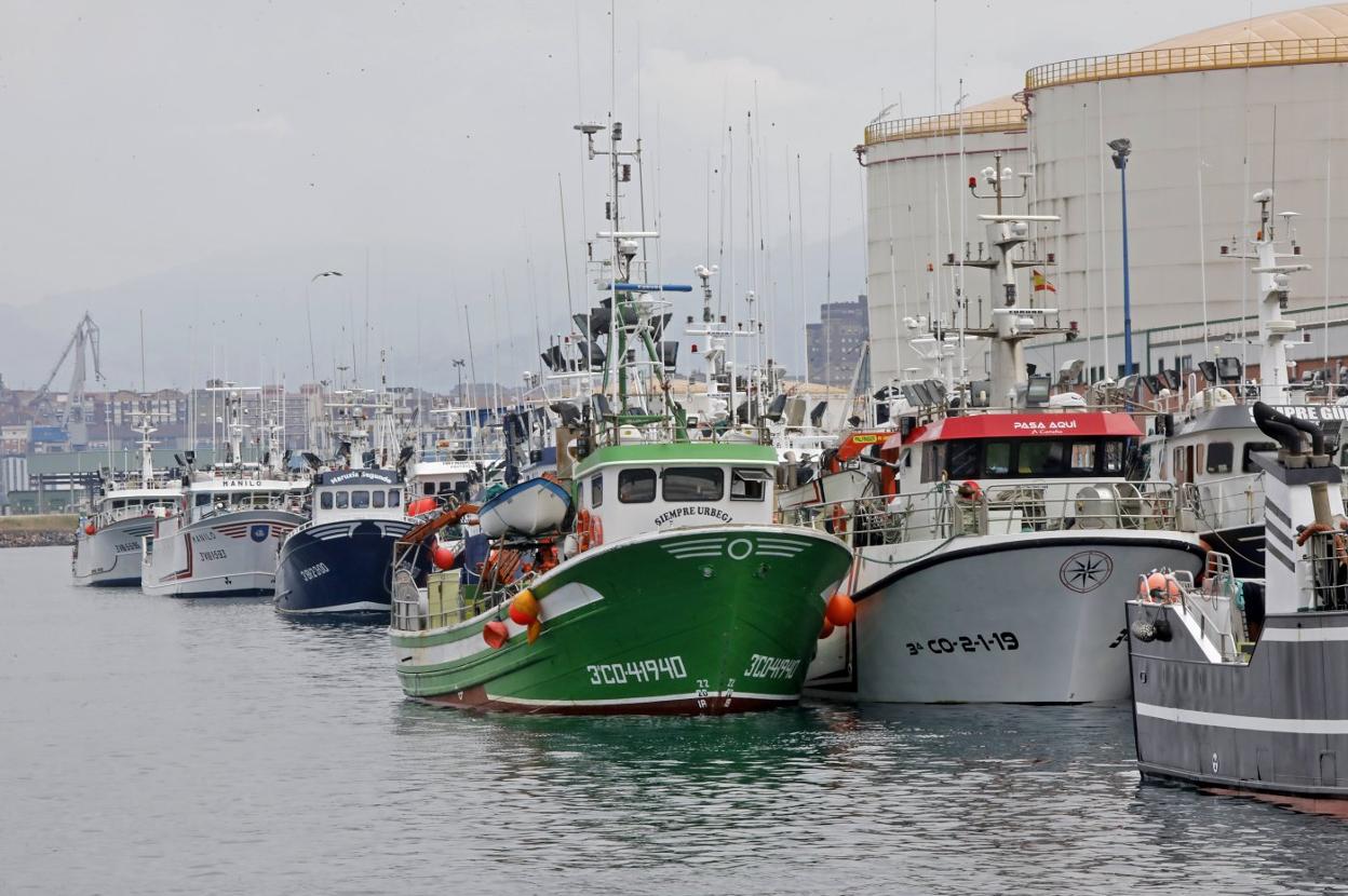 Pesqueros esperando para descargar bocarte en Gijón. 