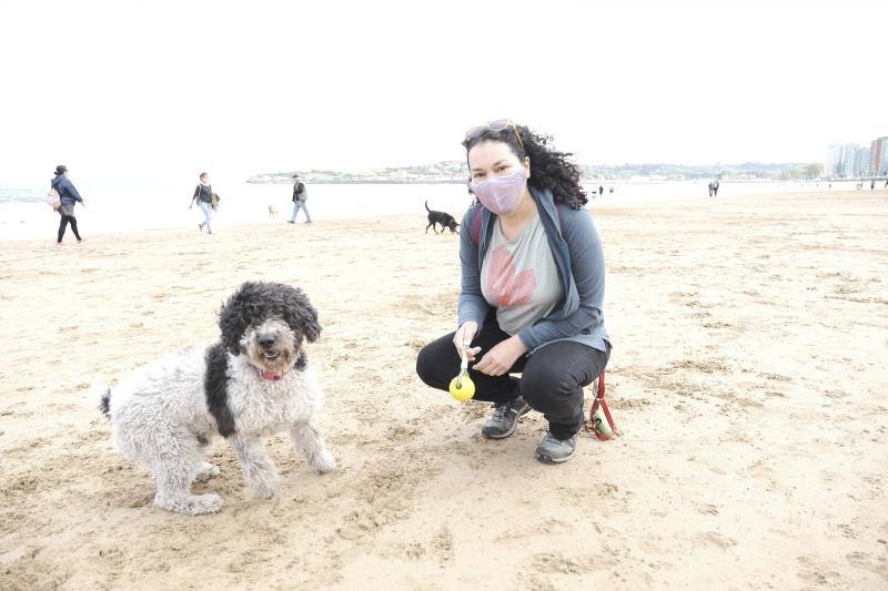 Como todos los años, el primer día de octubre supone el regreso de los perros a la playa de San Lorenzo. Los canes volvieron a disfrutar a lo grande del arenal gijonés.