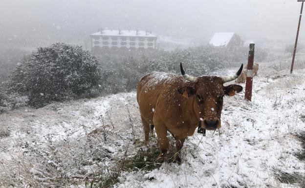 Nieve en Pajares.