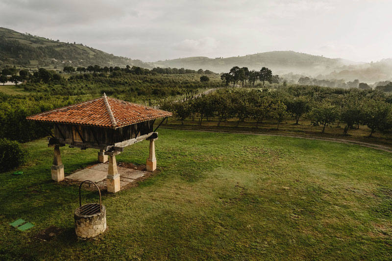 Finca El Rebollar, en Sariego, de Masaveu Bodegas 