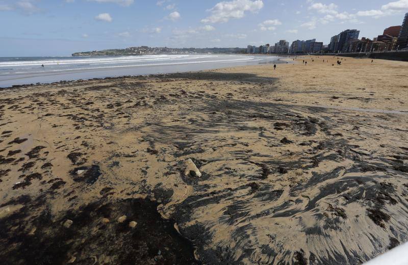 La pleamar de las 6.54 horas, de 3,83 metros, lanzó numerosas algas al paseo del Muro