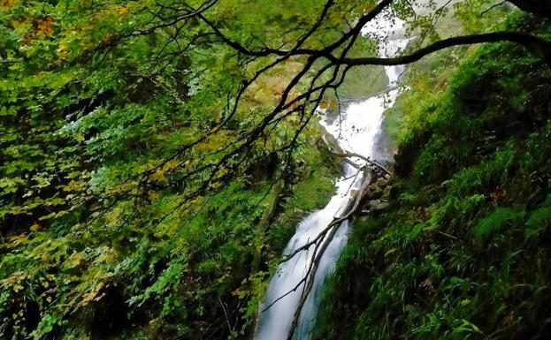 Ruta de la cascada del Xiblu por el Hayedo de Montegrande