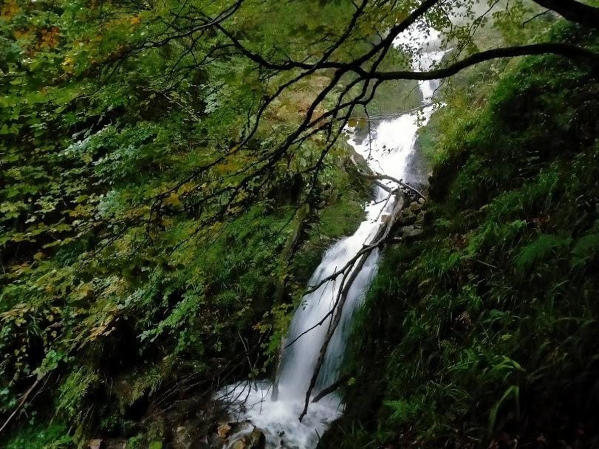 Fotos: Ruta por el hayedo de Montegrande hasta la Cascada del Xiblu