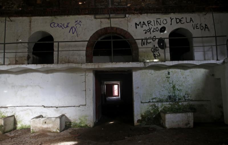 Las filtraciones de agua han acelerado la ruina de la grada alta de la plaza de toros de Oviedo, que es irrecuperable. El moho cubre paredes enteras, la corrosión amenaza las vigas y el alvero está lleno de maleza.