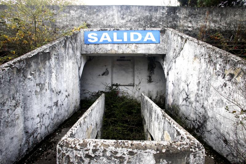 Las filtraciones de agua han acelerado la ruina de la grada alta de la plaza de toros de Oviedo, que es irrecuperable. El moho cubre paredes enteras, la corrosión amenaza las vigas y el alvero está lleno de maleza.