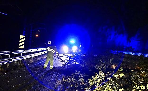 La caída de un árbol daña un vehículo y corta la N-634 en Parres