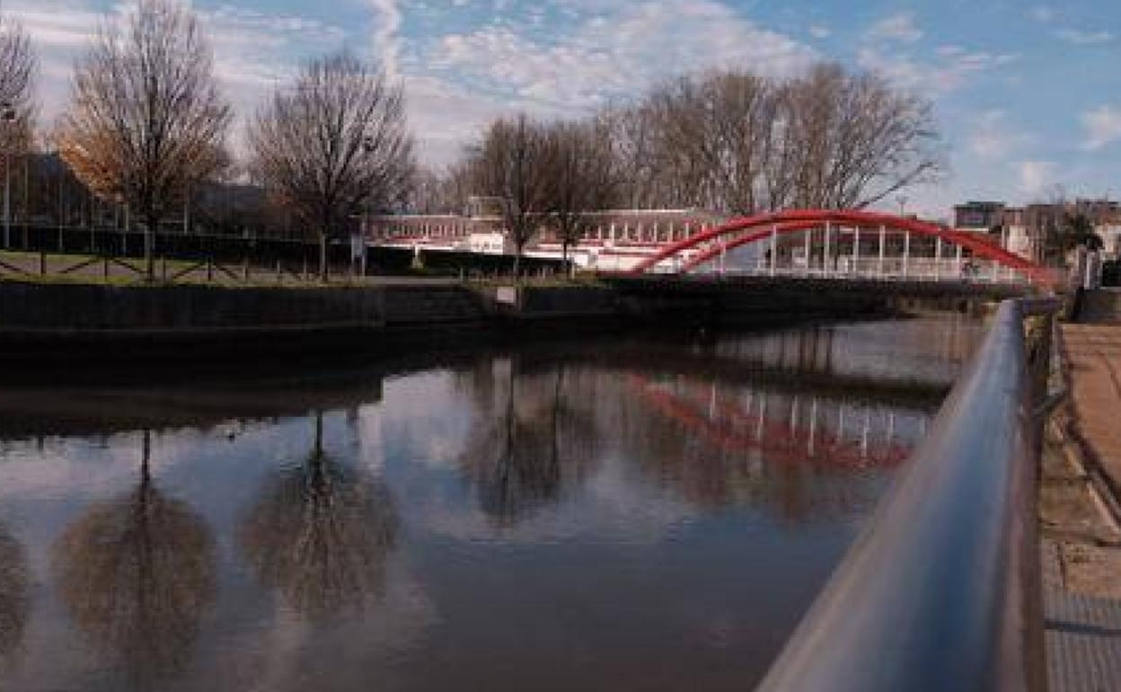 Un estudio señala la presencia de cianobacterias en aguas del anillo del Piles