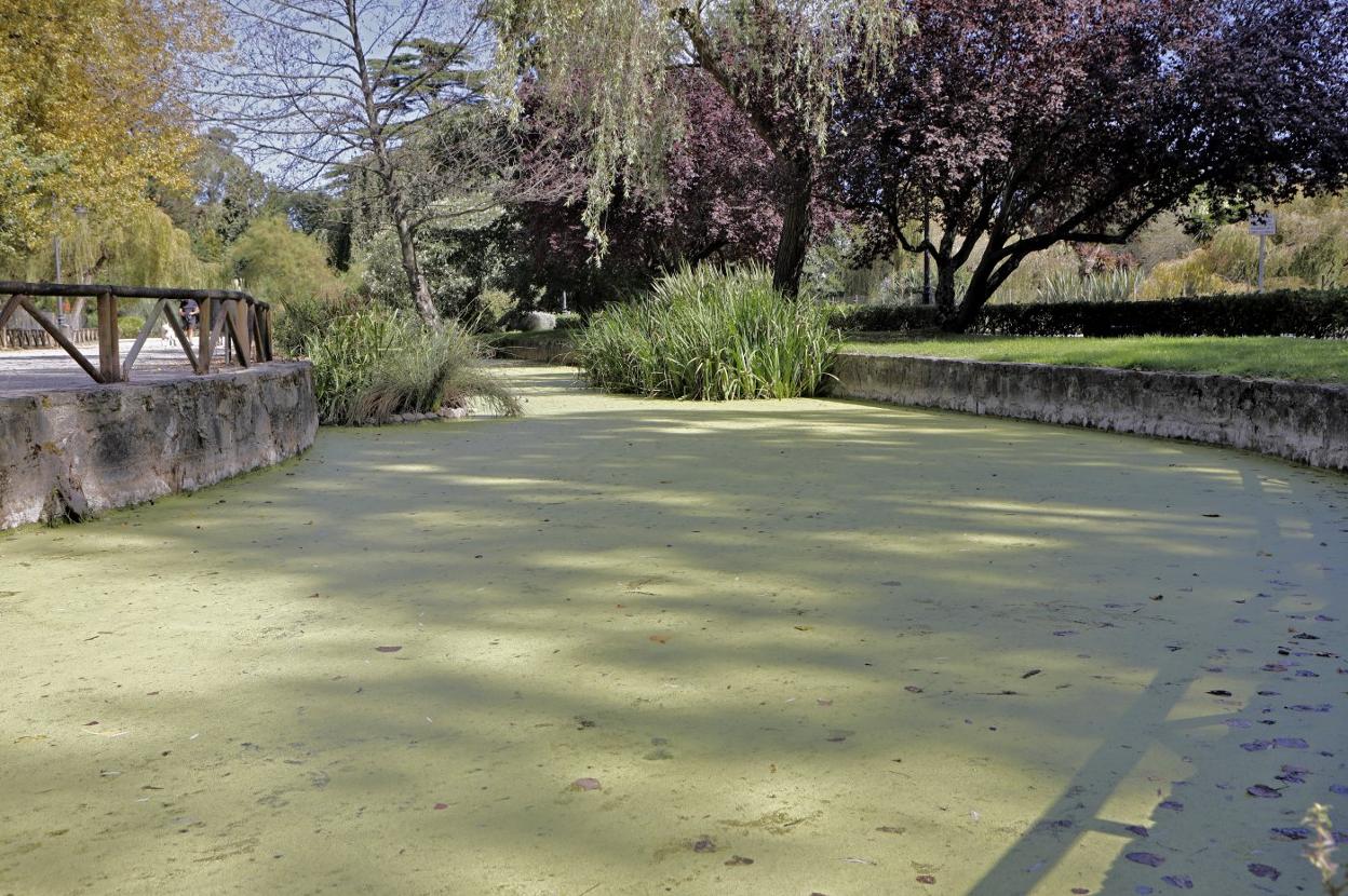 Canal del Molín, en Isabel la Católica, el pasado agosto. 