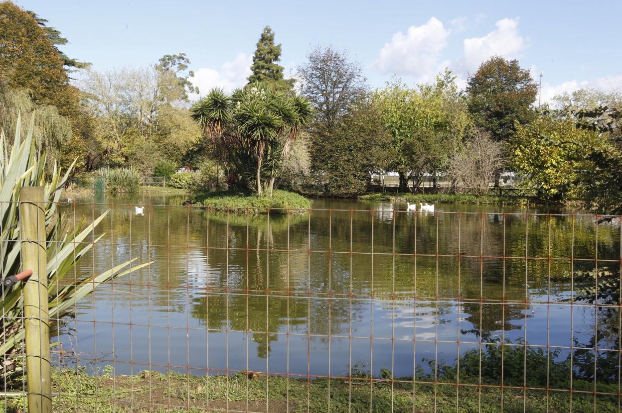 Estanque del parque de Isabel la Católica, vallado con un pastor eléctrico desde los ataques de las nutrias. 