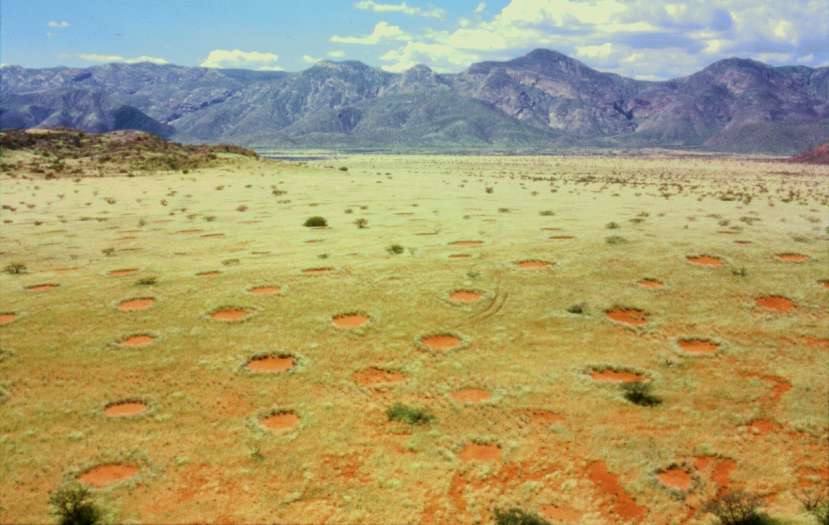 Círculos de hadas, en Namiba y Australia | Estas decenas de miles extrañas 'calvas' circulares de diámetros de entre dos y 35 metros que pueden verse en Namibia y Australia fueron un misterio para los investigadores. Sin embargo, en 2017 descubrieron su origen. Se trata de un mecanismo natural de organización de las planas ante la escasez de agua. 