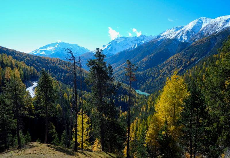 Parque Nacional de Tschierv, Suiza 