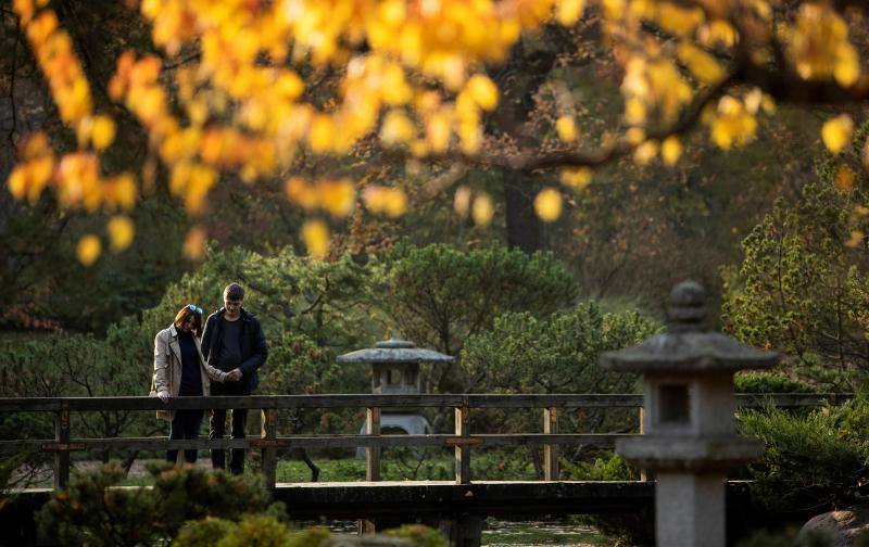 El Japanese Garden de Moscú, Rusia