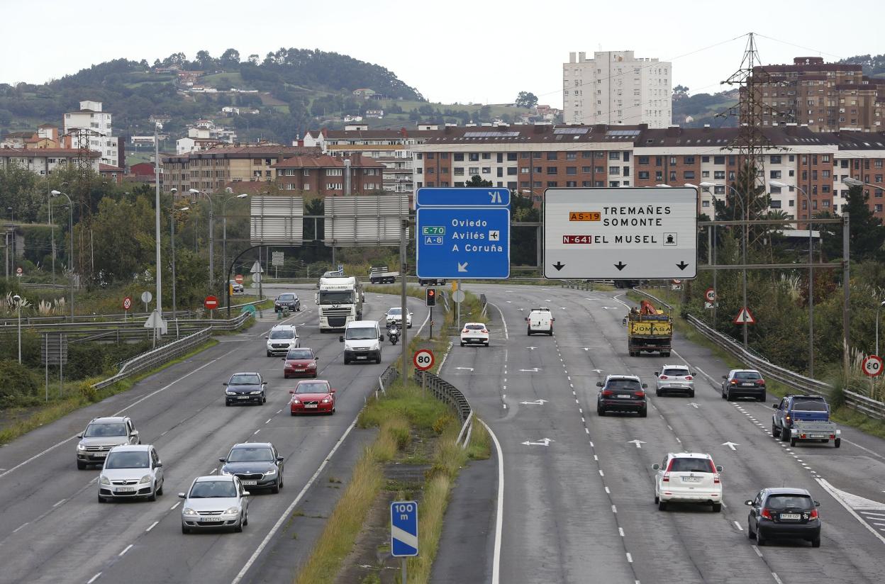 Camiones circulando por la avenida del Príncipe de Asturias. 