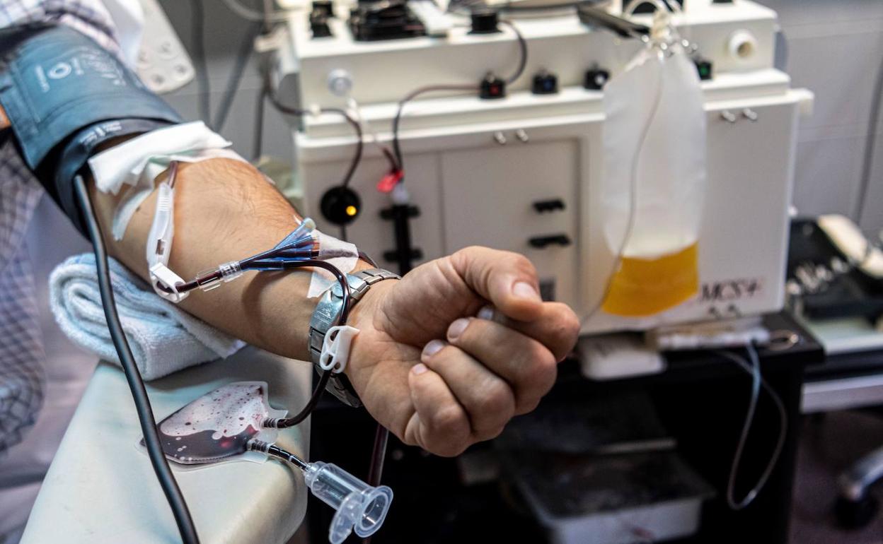 Coronavirus | Evidencian la relación entre grupo sanguíneo y riesgo de sufrir covid