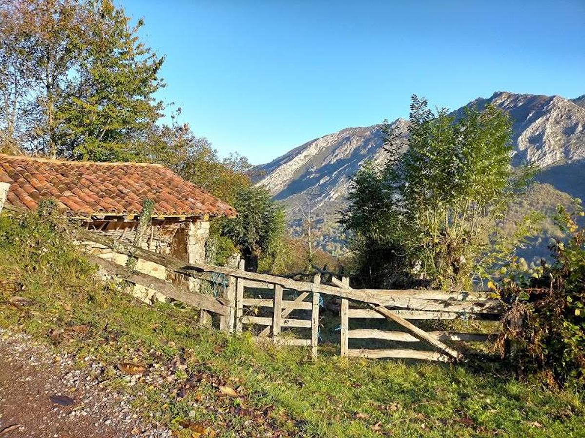 Fotos: Ruta otoñal hasta el refugio de Brañagallones