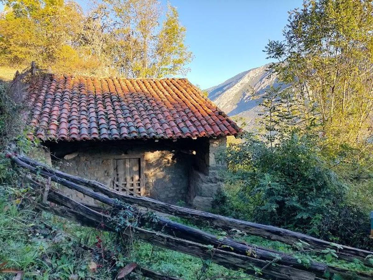 Fotos: Ruta otoñal hasta el refugio de Brañagallones